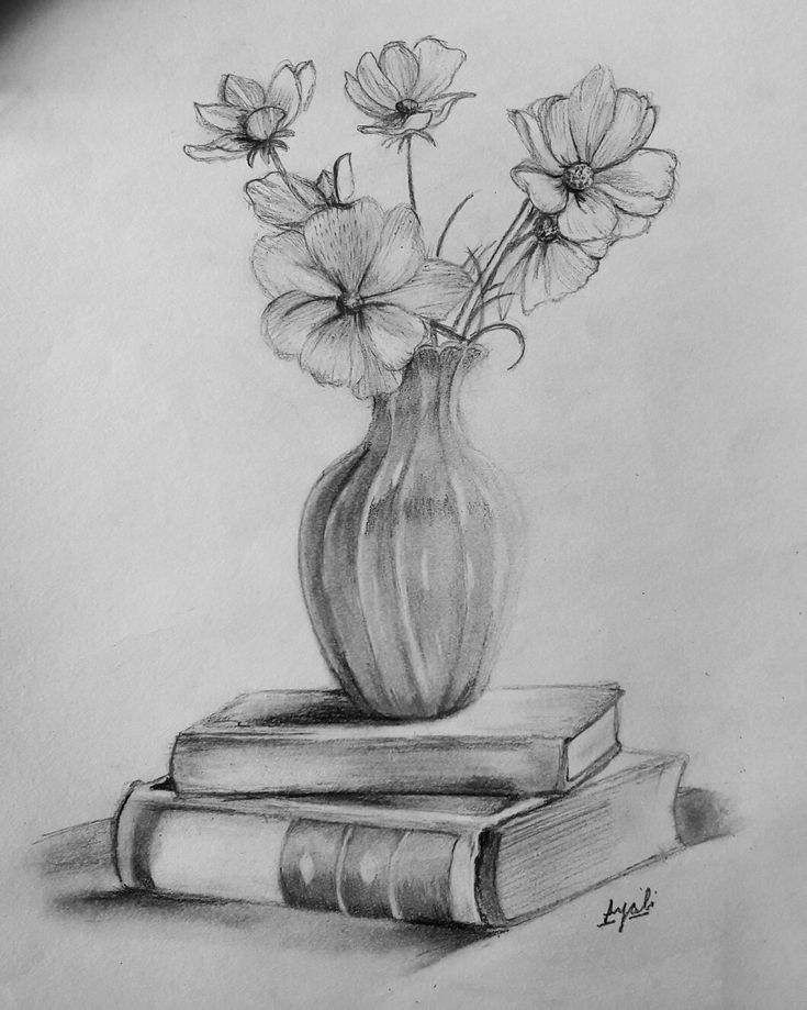 Pencil Drawings Of Flowers