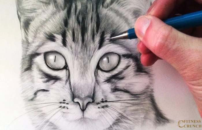 Drawing_a4z_-ymtkr8= cats_ A Comprehensive Guide 